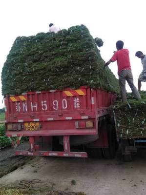 橋頭直達荊州市 物流回程車與普通道路貨物運輸代理服務解析